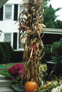 Fall Lightpost 2.jpg (107334 bytes)